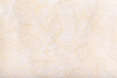 繊細な繊維が浮き出た和紙のテクスチャー