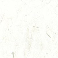 かすれた白い和紙のテクスチャーの写真