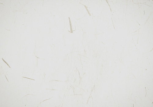 淡いクリーム色の和紙のテクスチャー