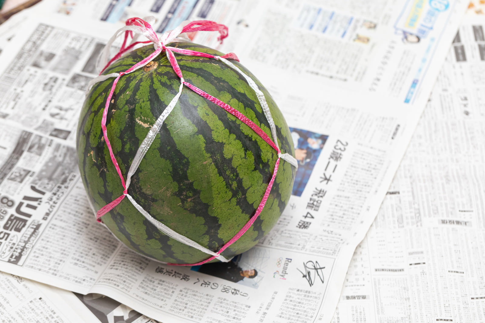 新聞紙に包まれて赤いリボンで結ばれたスイカ