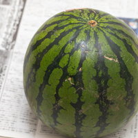 新聞紙の上に置かれた西瓜（すいか）夏の果物の写真