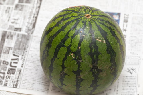 新聞紙の上に置かれた西瓜（すいか）夏の果物