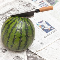 薄刃包丁が西瓜にぐっさり刺さる瞬間の料理風景の写真