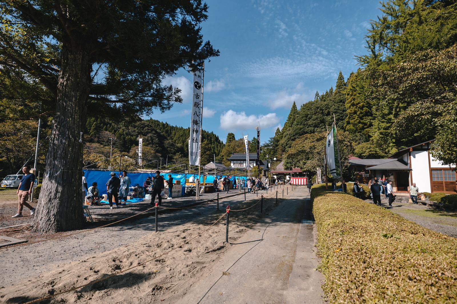 古殿八幡神社の例大祭で流鏑馬が行われる参道の風景。樹齢の古い大木と青いテント、多くの参拝者が集まる様子