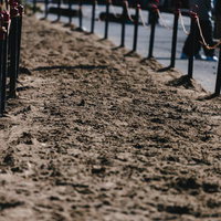流鏑馬の疾走直後、特設コースの砂地に残る馬の足跡の写真