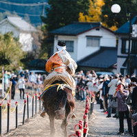 古殿八幡神社の流鏑馬で疾走する馬と射手の伝統武術の写真