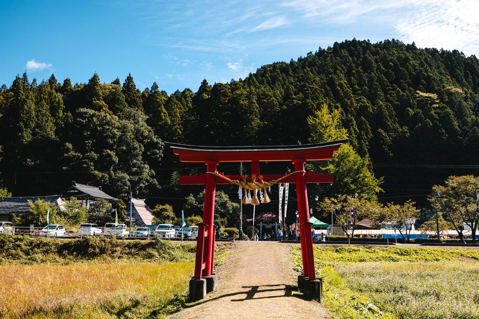 古殿町の古殿八幡神社の朱色の大きな鳥居と背後の緑豊かな杉林