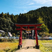古殿町の古殿八幡神社に佇む朱色の鳥居と豊かな自然の写真