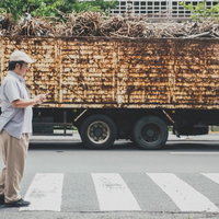 横断歩道を渡りながらスマートフォンを見る男性の写真