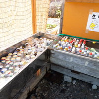 白馬岳の白馬尻小屋で販売中のドリンク、生ビールと缶ビールの写真