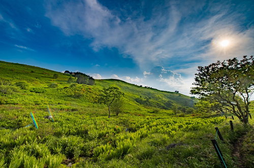 夏の霧ヶ峰高原、青空に映える緑の高原と太陽