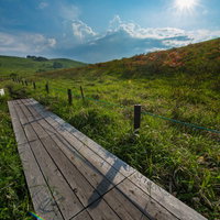 夏の青空に浮かぶ雲と車山高原の木道を歩く風景の写真