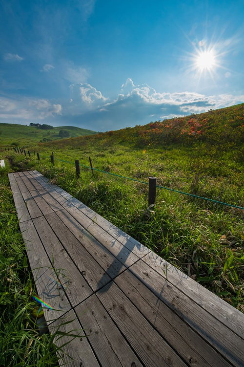 夏の青空に浮かぶ雲と車山高原の木道を歩く風景