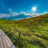 霧ヶ峰・車山高原の木製遊歩道とハイキングコースの写真