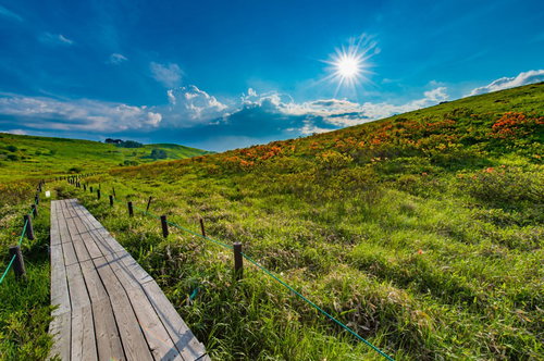 霧ヶ峰・車山高原の木製遊歩道とハイキングコース