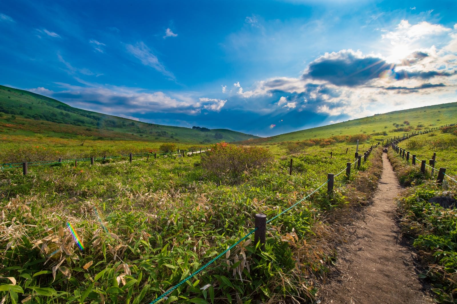 車山の遊歩道を歩く人々と高原の風景