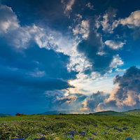 蝶々深山の夕暮れ時の高原風景の写真