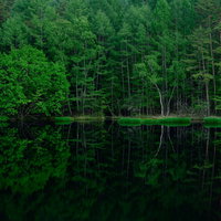 霧の山中で湖面に映り込む新緑の森の写真