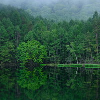 御射鹿池の新緑が映る水鏡のリフレクションの写真