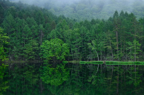 御射鹿池の新緑が映る水鏡のリフレクション