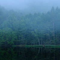 濃霧に包まれた御射鹿池の水鏡に映る新緑の森の写真