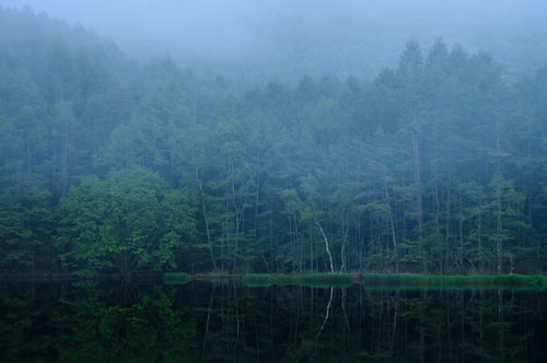 濃霧に包まれた御射鹿池の水鏡に映る新緑の森