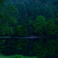 新緑が映り込む御射鹿池の水面--長野県の絶景リフレクションの写真
