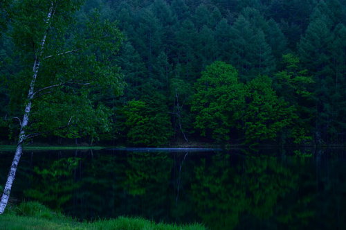 新緑が映り込む御射鹿池の水面--長野県の絶景リフレクション