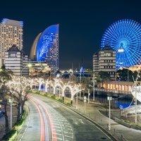 みなとみらい「さくら通り」とライトアップされた観覧車の写真