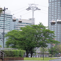 みなとみらいの高層ビル群を通る横浜ロープウェイの写真