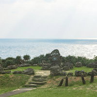 与那国島の牧草地で放牧される野生馬と親子馬の草原風景の写真