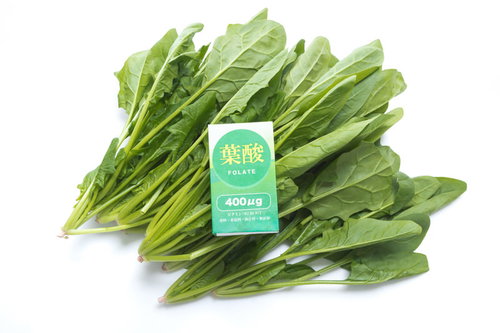ほうれん草から葉酸を摂取する新鮮な緑色野菜