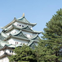日本の城巡りの旅、緑の松と白亜の天守閣を巡る歴史散策の写真