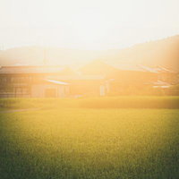 柔らかな光に包まれる穏やかな田舎の住宅街の写真