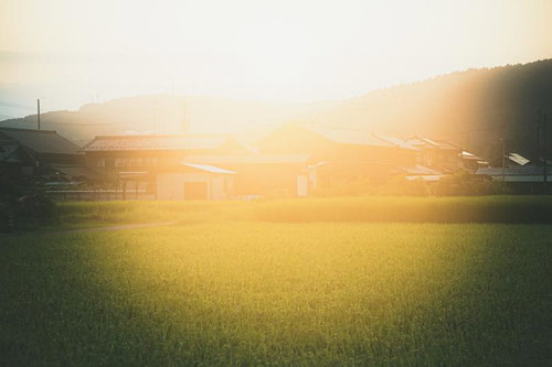 柔らかな光に包まれる穏やかな田舎の住宅街