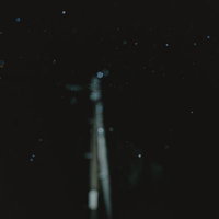 夜に舞う小雨の写真