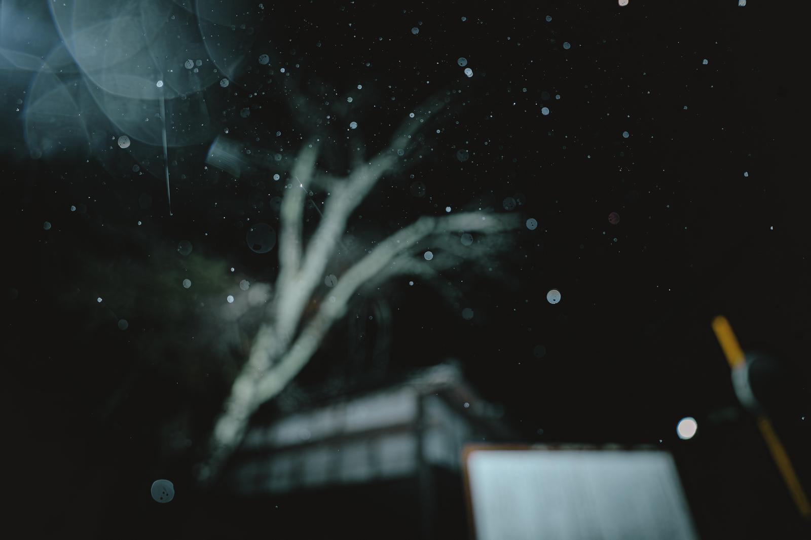 Residential area at night with light particles dancing in the rain, tree branches and houses barely visible in the darkness