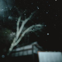 雨降る夜の闇にぼんやりと浮かぶ木の枝と家屋の写真