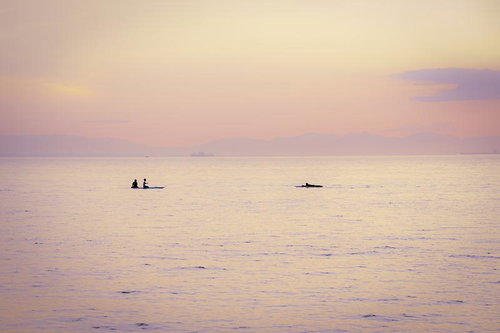 夕暮れに染まる静かな海上とSUPやサーファーのシルエット