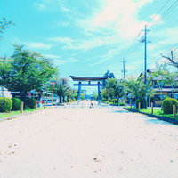住宅街の参道に立つ青い大鳥居と電柱の風景の写真