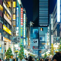 新宿歌舞伎町ゴジラ通りと繁華街の夜間看板の写真