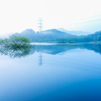 朝霧と日野川ダム湖の静かな朝の写真