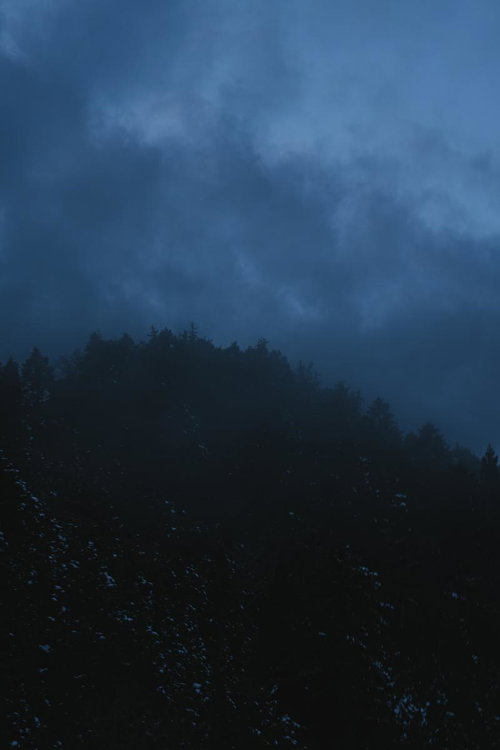 静寂が支配する闇に包まれる雪の森の冬景色
