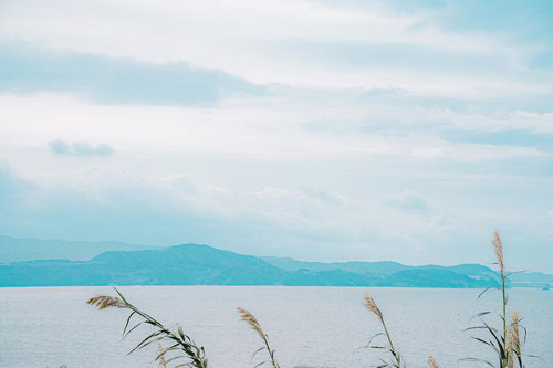 風に揺れるススキと穏やかな海、遠くの山々が見える離島の景観