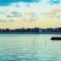 紀三井寺の海岸沿いに見る早朝の朝焼けと漁港の夜明け風景の写真