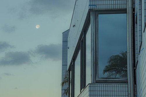大きなガラス窓に映り込むヤシの木と月の都市風景