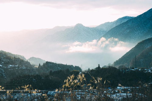 長野県大桑村の冬景色、雪に覆われた山々とススキ群生地