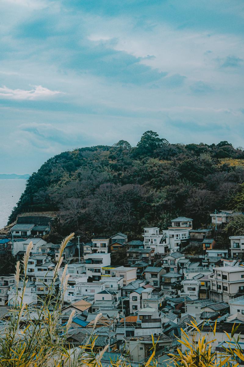 緑の丘を背景に、坂道に密集する白い住宅と瓦屋根が並ぶ港町の風景