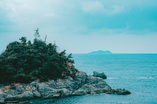 海に面した緑豊かな岩場の小島と水平線の風景