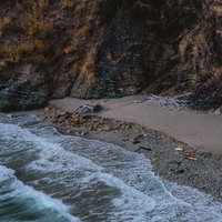 寄せては返す波と流木が散らばる海岸の風景の写真